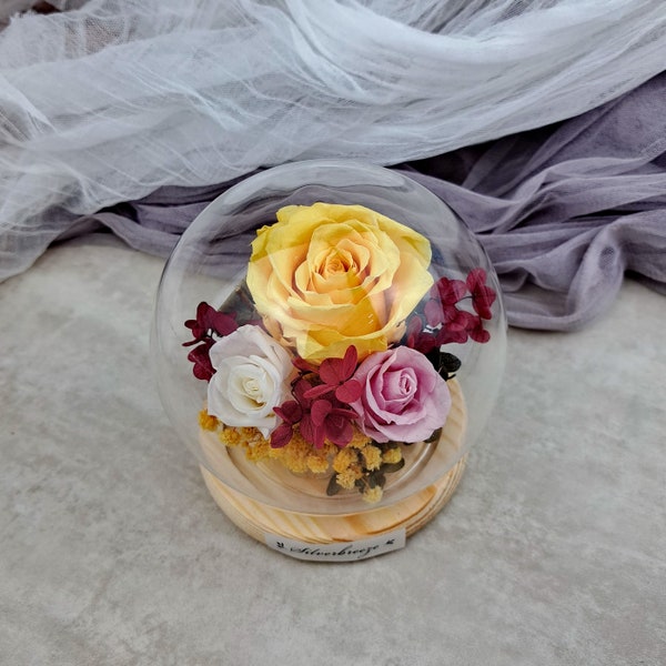 Eternal rose glass dome, Preserved flower gift, gift for her, Valentine's Day, Mother's Day gift, forever rose PF-034