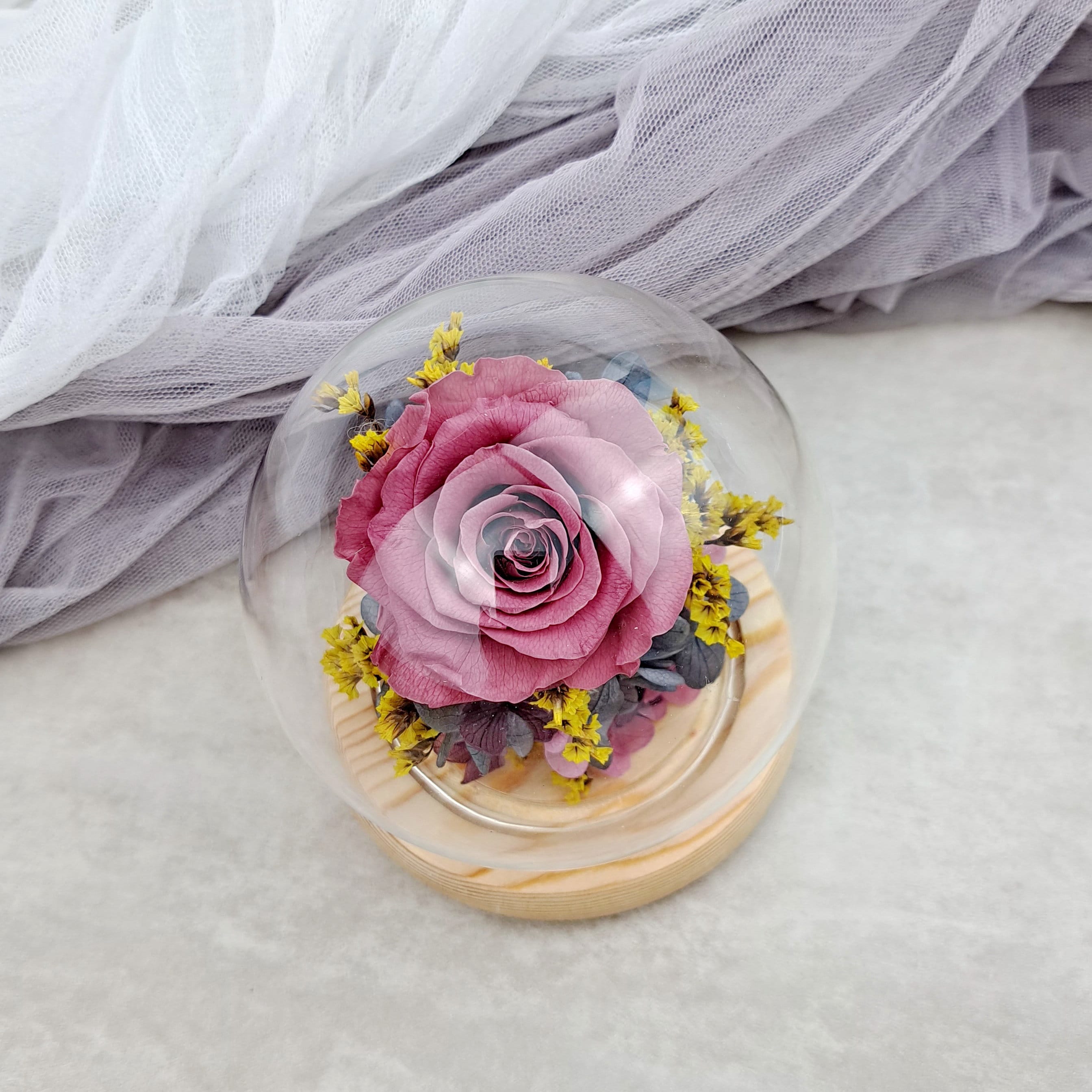 FIACO Ewige Rose In Glaskuppel – Konservierte Blume Mit LED-Beleuchtung, Geschenk Für Sie