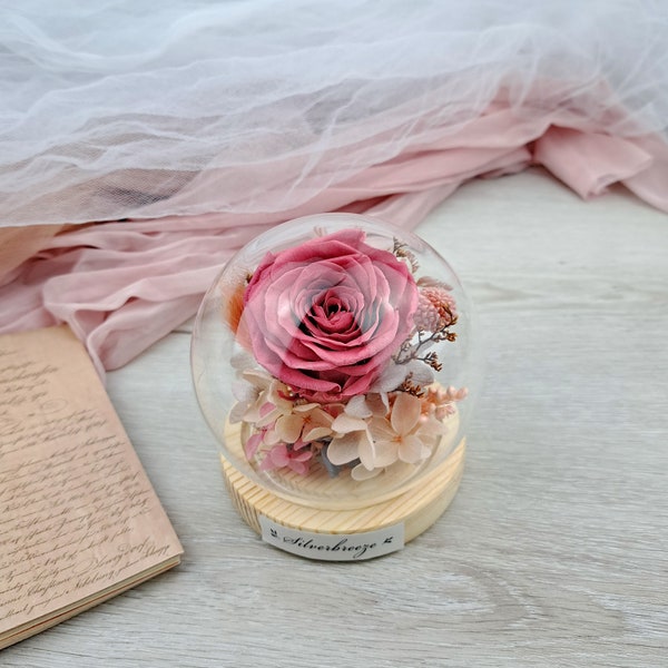 Ewige Rose Glaskuppel, Konserviert Blumengeschenk, Geschenk für Sie, Valentinstag, Muttertagsgeschenk, Forever Rose PF-031