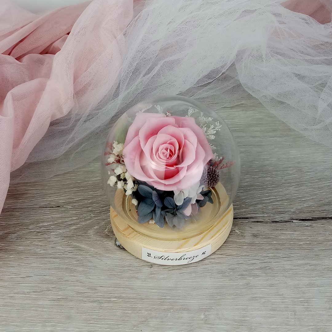 Eternal Rose Glass Dome, Preserved Flower Gift, Gift for Her, Valentine ...