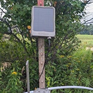 May include: A gray wildlife camera with a built-in antenna is mounted on a wooden post. A gray solar panel is attached to the post above the camera. The camera and solar panel are connected by a black wire.