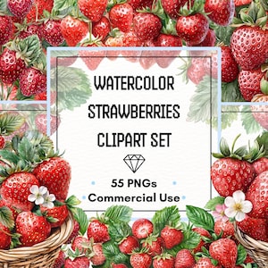 Ensemble de cliparts fraises – Aquarelle de petits fruits, de fleurs et de confiture | 55 fichiers PNG | 300 ppp | Utilisation commerciale