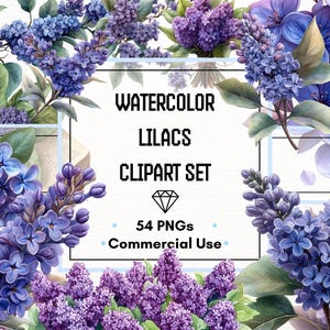 Conjunto de imágenes prediseñadas de lilas: flores, coronas, ramos y marcos en acuarela / 54 archivos PNG / 300 DPI / Uso comercial