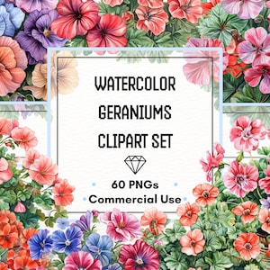 May include: A watercolor clipart set featuring vibrant geraniums in shades of red, pink, purple, and orange. The image includes the text "Watercolor Geraniums Clipart Set" with a diamond graphic and the text "60 PNGs Commercial Use."