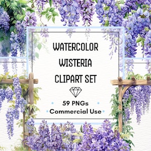 Set di clipart di glicine - Viti, fiori e cornici pendenti ad acquerello / 59 file PNG / 300 DPI / Uso commerciale