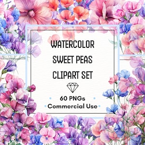 Wicke Clipart Set - Aquarell Blüten, Zweige & Sträuße | 60 PNG-Dateien | 300 DPI | Kommerzielle Nutzung