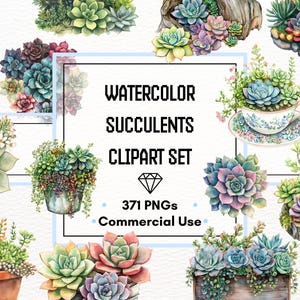 MEGA Bundle di Clipart di piante grasse - 371 file PNG / Cactus acquerellati, vegetazione e rosette / 300 DPI / Uso commerciale