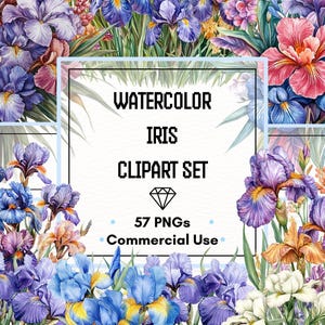 Iris Clipart Set – Watercolor Purple, Blue & Yellow Irises | 57 PNG Files | 300 DPI | Commercial Use