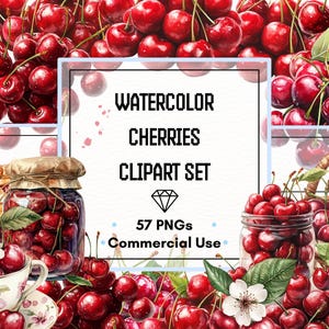 Kirschen Clipart Set – Aquarell Früchte, Schalen & Blüten | 57 PNG-Dateien | 300 DPI | Kommerzielle Nutzung