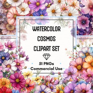 Kosmos Clipart-Set - Aquarell Blüten, Sträuße & Blütenblätter | 51 PNG-Dateien | 300 DPI | Kommerzielle Nutzung