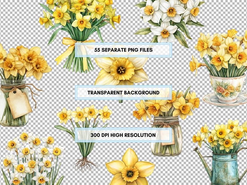 Daffodils Clipart Set – Watercolor Spring Blooms & Borders | 55 PNG ...