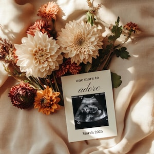 Herbst Floral Digitale Schwangerschaft Bekanntgabe One More to Adore Gender Neutral Baby Ankündigung Baby Reveal bearbeitbare Instagram Vorlage
