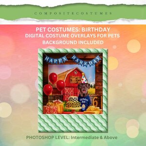 May include: A digital composite image featuring a dog wearing a party hat and a blue shirt with the text Birthday Boy. The scene includes a red barn background, a cake with paw prints, red balloons, and a blue banner reading Happy Barkday.