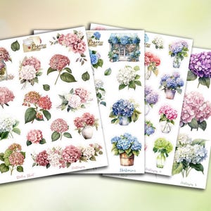 Planches de stickers sur les hortensias de diverses couleurs, idéal pour les carnets, albums de scrap, carterie, bullet journal