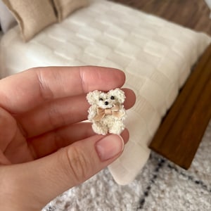 Könnte beinhalten: Ein kleiner, weißer, flauschiger Teddybär mit einer hellbraunen Schleife, der auf einer Hand sitzt.