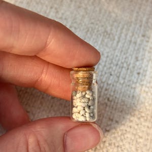 Petit bocal de coquillages - Décoration miniature de maison de plage pour maison de poupée à l'échelle 1:12