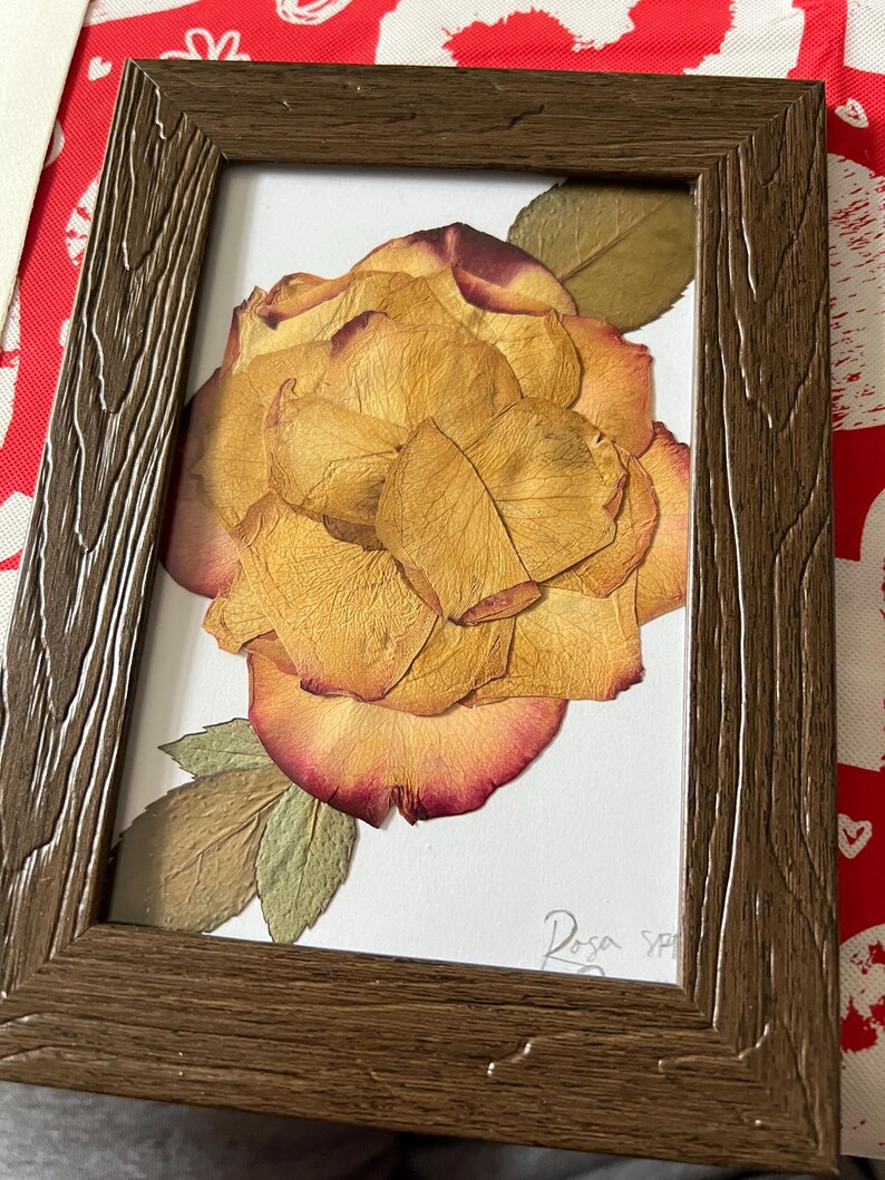 Rose In Frame Preserved Rose in Frame - Etsy