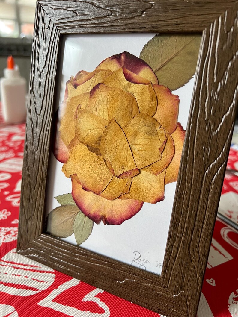 Rose In Frame Preserved Rose in Frame - Etsy