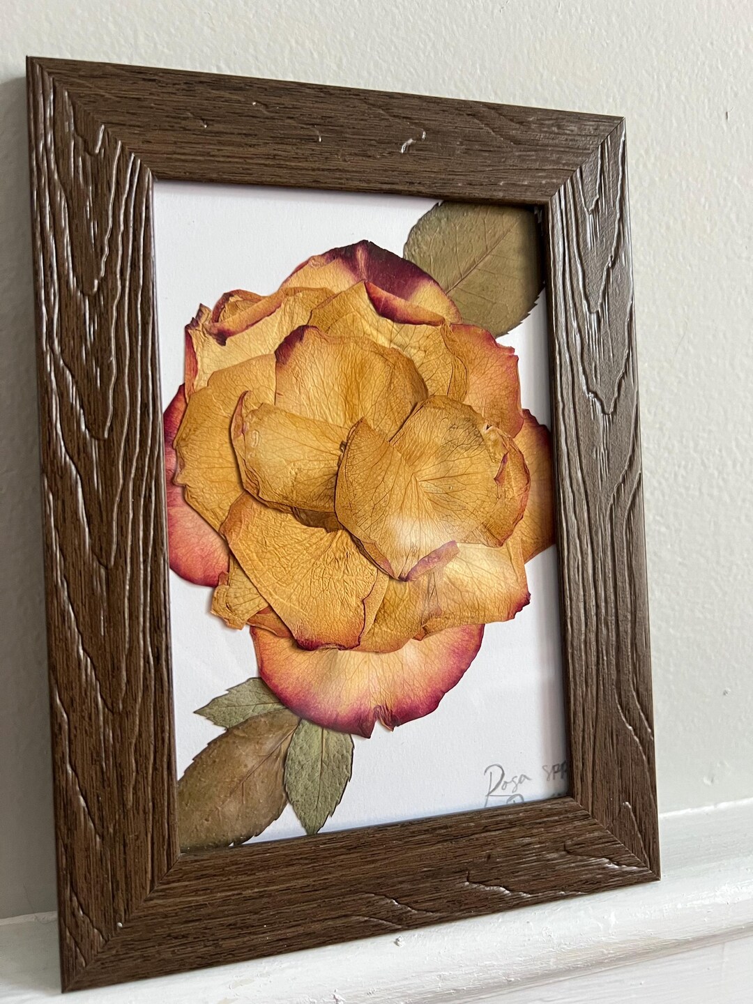 Rose In Frame Preserved Rose in Frame - Etsy