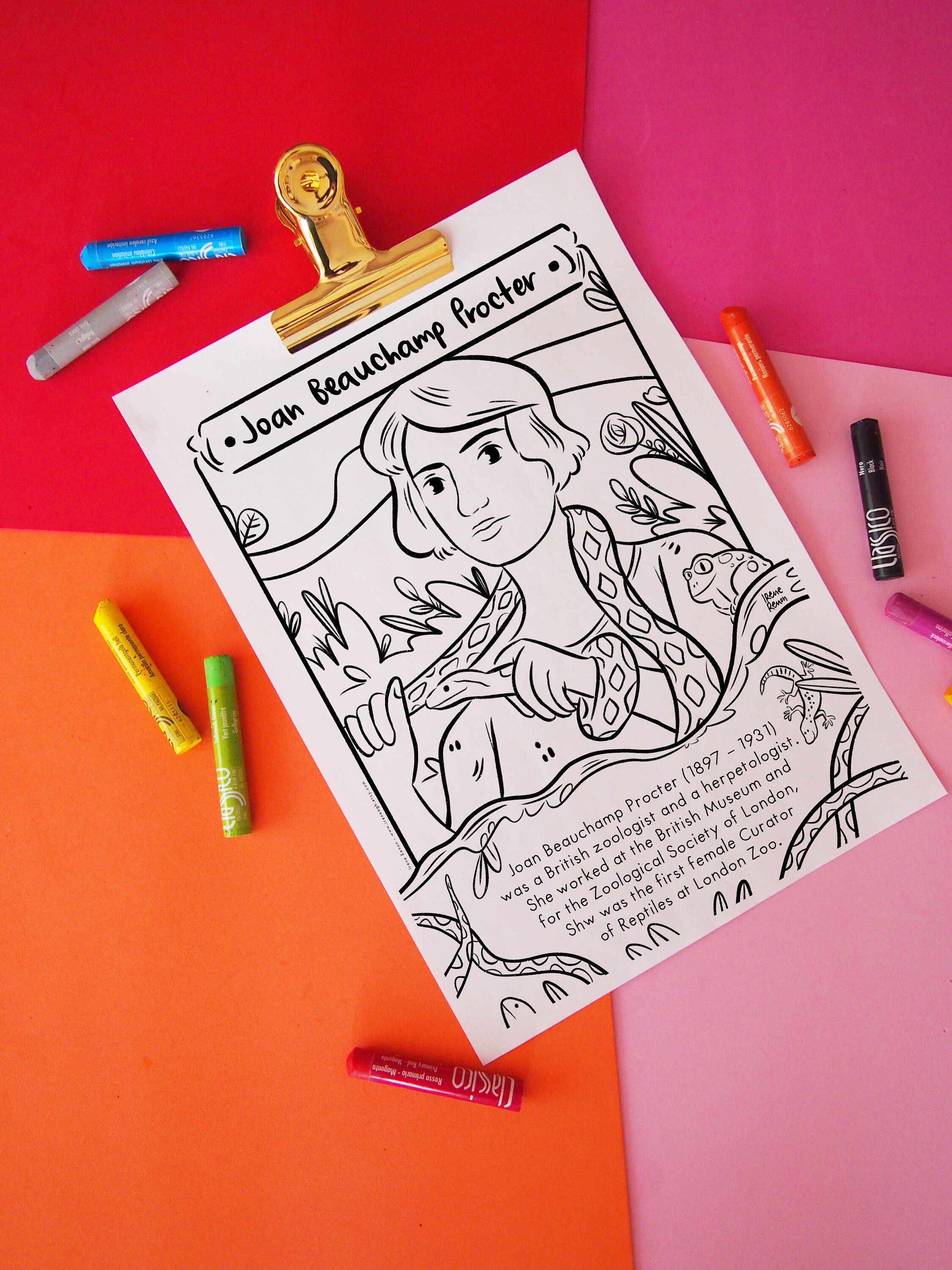 Zoologist JOAN BEAUCHAMP PROCTER Women in History Month Etsy Österreich