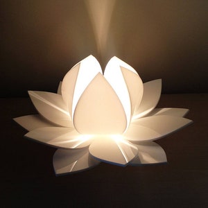 Lotus 2024 wall lamp