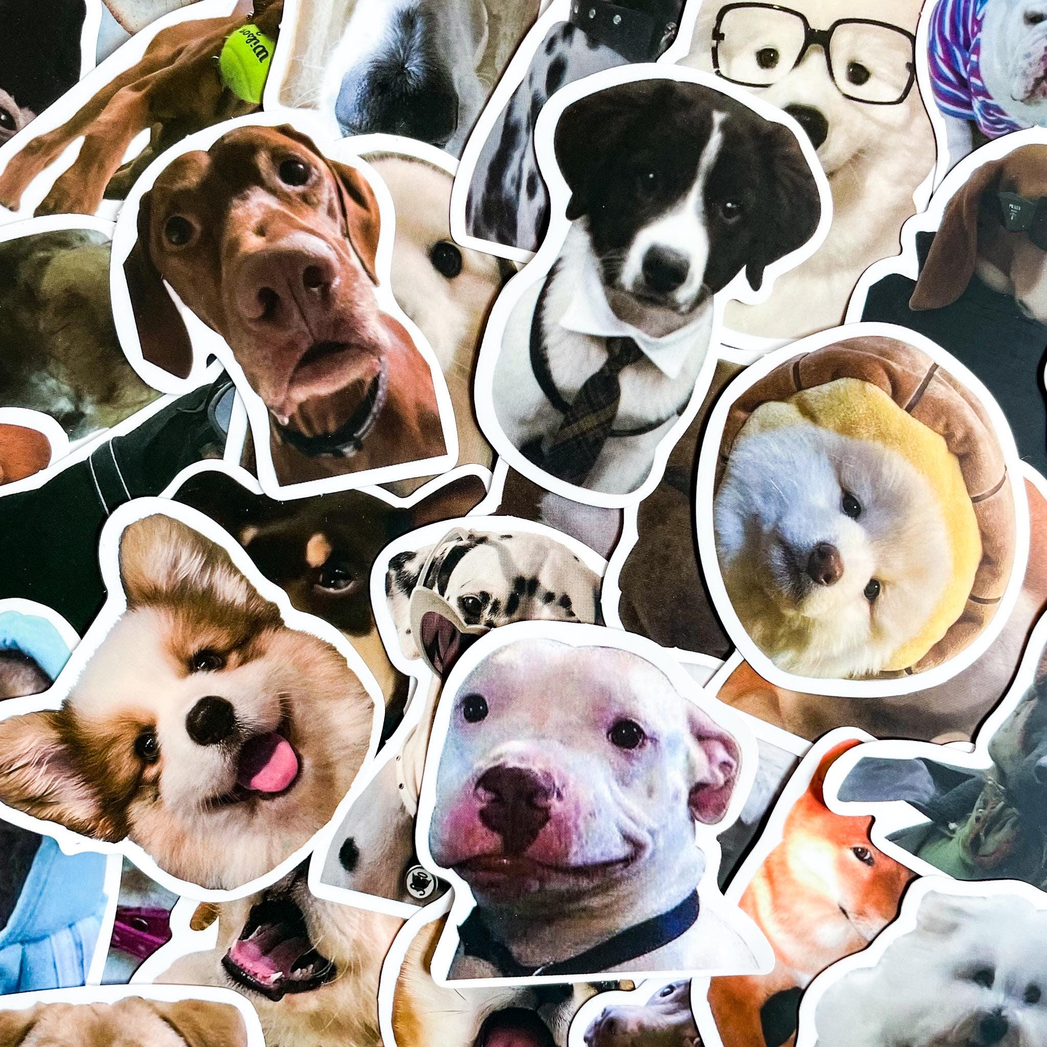 100 Cute Dog Stickers, Funny Puppy Meme Stickers, Pet-themed