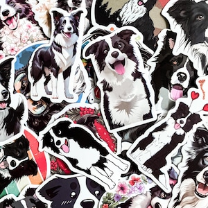 100 zufällige Border Collie Aufkleber, süße Hundeaufkleber, wasserdichte Tieraufkleber, entzückende Haustieraufkleber, Laptop- und Wasserflaschenaufkleber