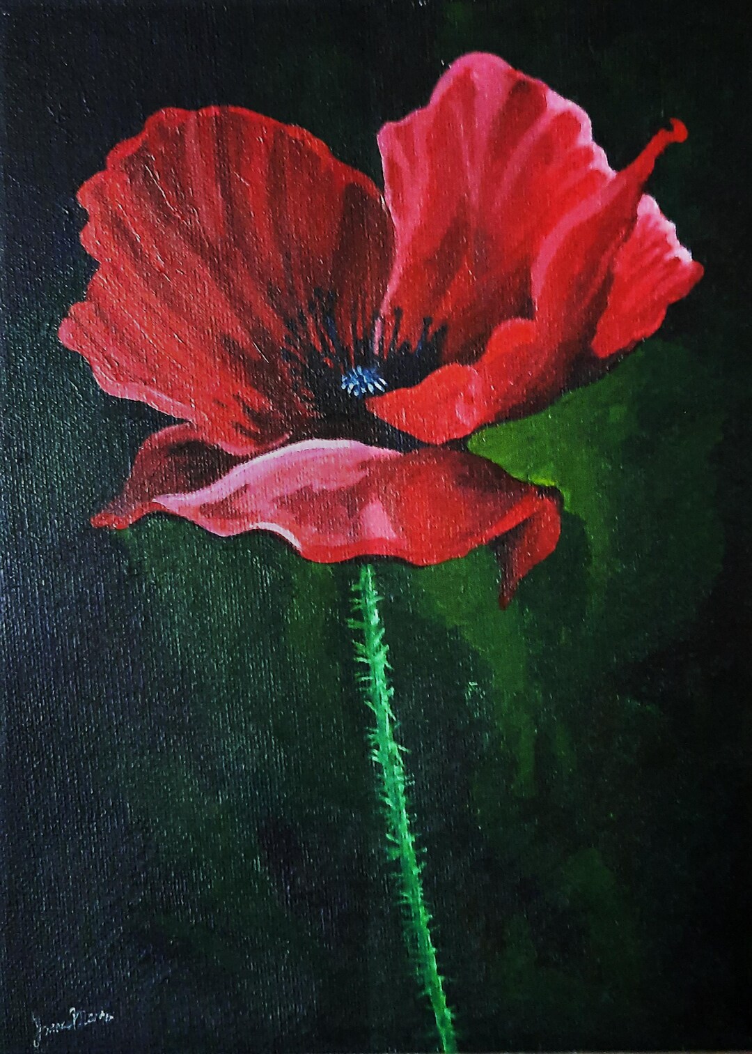 Poppy Flower Etsy Poppy Flower Etsy