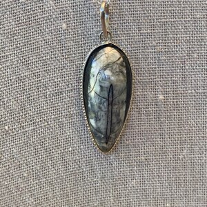 Picasso. Orthoceros fossil.   sterling black and white