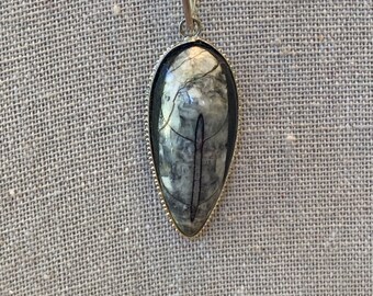 Picasso. Orthoceros fossil.   sterling black and white