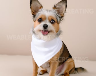 Dog Bandana Mockup – Pet, White Bandana (PNG, JPEG)