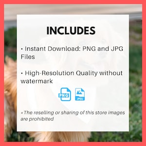 May include: Text that reads "INCLUDES" followed by two bullet points. The first bullet point reads "Instant Download: PNG and JPG Files". The second bullet point reads "High-Resolution Quality without watermark". Below the bullet points are two icons, one for PNG and one for JPEG. Below the icons is text that reads "* The reselling or sharing of this store images are prohibited".
