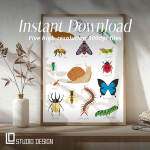 Bugs Wall Art | Insects Prints for Kid&#39;s Room & Play Room | Baby Animals Printable Art | Instant Download Decor | Inspired Art