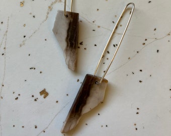 Petrified Wood Slice Earrings