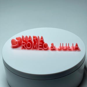 Panneaux de place pour mariages | Rose fluo personnalisé | Imprimé en 3D | Lumineux | Fluorescent | Noms | Décoration de mariage | Fait à la main