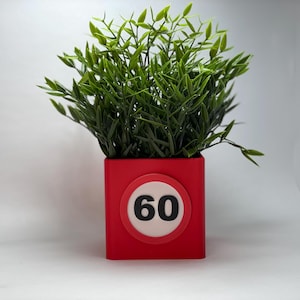 Gepersonaliseerde 60e verjaardag bloempot met kaartsleuf | Cadeau voor mannen en vrouwen | Uniek idee voor een grote verjaardag"