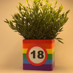 Regenboogbloempot voor verjaardag | 3D-geprinte plantenbak met kaartvak | Perfect cadeau en duurzame decoratie voor speciale gelegenheden