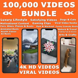 Viral Videos Bundle 100,000: Satisfying, Gaming, Luxury, Animated AI, Motivational, Funny, Cat, Dog, Gym Instagram Reels, YouTube , TikTok