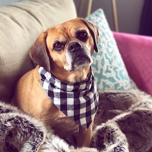 Easy Dog Bandana Sewing Tutorial - Reversible Design - Instant Download Printable Pattern - Pet Accessories For Dogs and Cats
