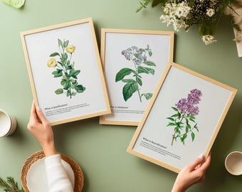 Set of Three Christian Home Decor Botanical Wall Art Printable | Westminster Shorter Catechism