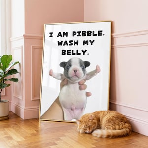 May include: A framed wall art print featuring a white and grey puppy held up with its front paws extended. The text above the puppy reads, I AM PIBBLE. WASH MY BELLY. The print is displayed in a thin gold frame against a light pink wall.