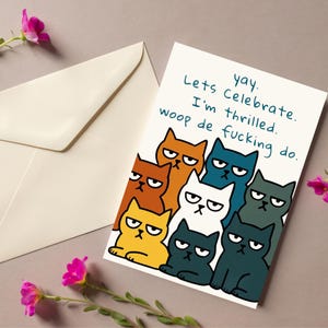 Confezione da 5 biglietti di auguri di congratulazioni, gatti divertenti e sarcastici, biglietti divertenti, biglietti di auguri per feste, compleanni e buone notizie. Set multipack. Multiuso.