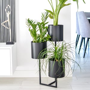 Könnte beinhalten: Ein dreistufiger Pflanzenständer aus schwarzem Metall mit drei Topfpflanzen mit grünen Blättern. Der Ständer hat ein modernes Design mit geometrischer Basis und zylindrischen Töpfen. Die Pflanzen bringen einen Hauch von Natur in den Raum.