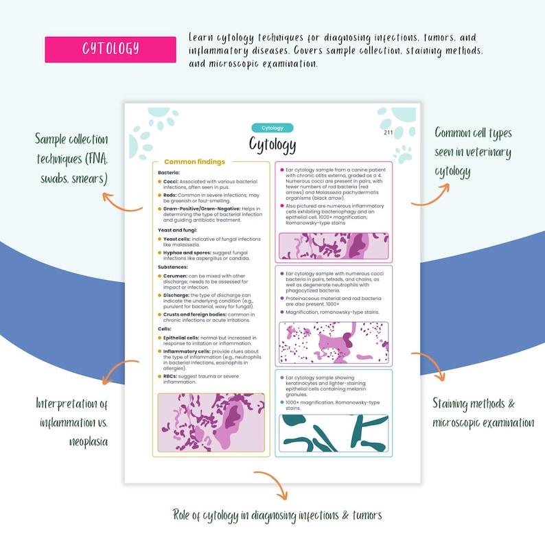 Peut inclure: Une infographie color&eacute;e sur la cytologie, une technique utilis&eacute;e pour diagnostiquer les infections, les tumeurs et les maladies inflammatoires en m&eacute;decine v&eacute;t&eacute;rinaire. L'infographie comprend des informations sur la collecte d'&eacute;chantillons, les d&eacute;couvertes courantes, les m&eacute;thodes de coloration et l'examen microscopique. Elle montre &eacute;galement des exemples de diff&eacute;rents types de cellules observ&eacute;s en cytologie v&eacute;t&eacute;rinaire.