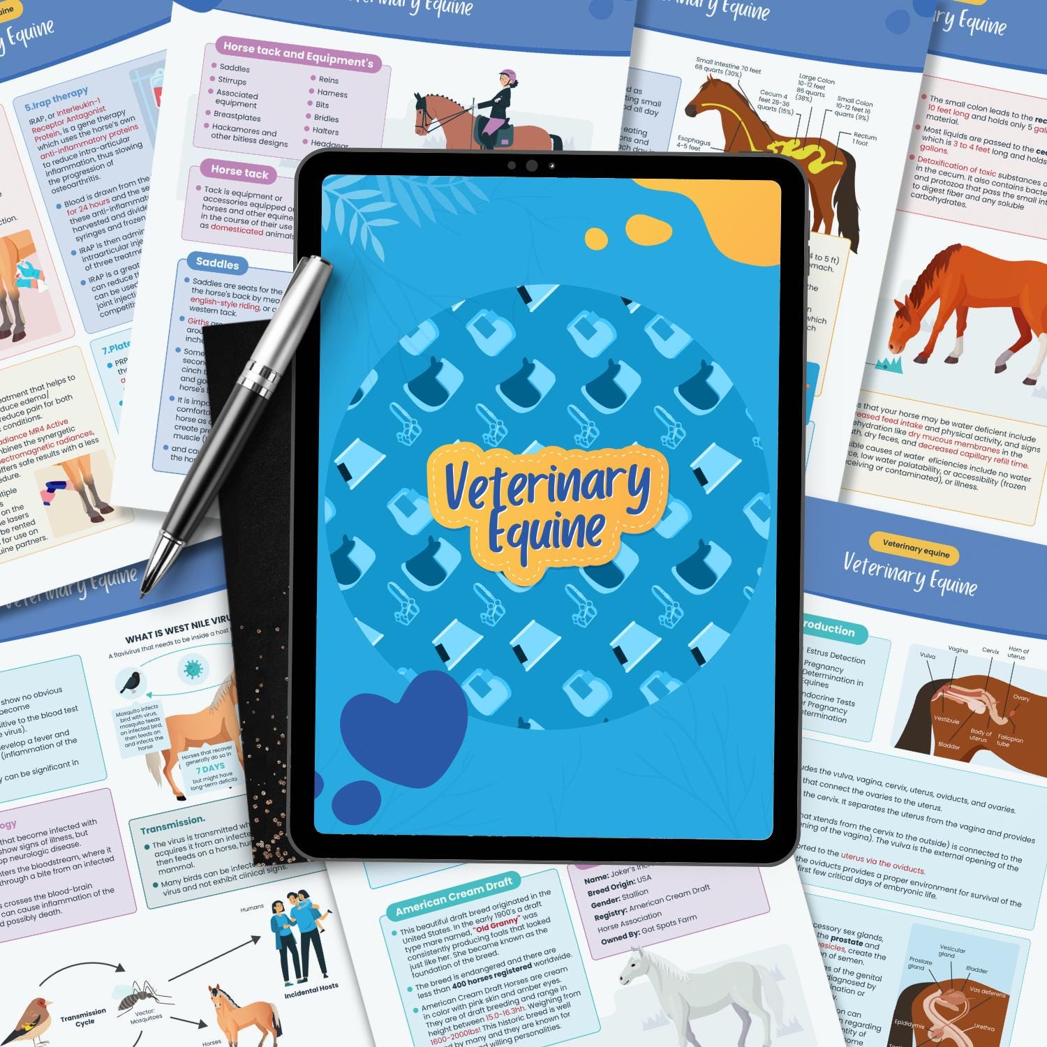 Veterinary Equine Notes Nurse Study Guide Vet Nursing Notes Veterinary ...