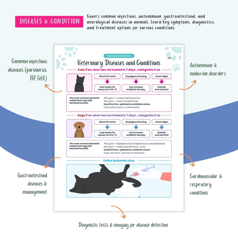 Peut inclure: Une infographie color&eacute;e intitul&eacute;e "Maladies et affections v&eacute;t&eacute;rinaires" avec des illustrations de chats et de chiens. L'infographie couvre les maladies infectieuses, auto-immunes, gastro-intestinales et neurologiques courantes chez les animaux. Elle comprend &eacute;galement des informations sur les tests de diagnostic et l'imagerie pour la d&eacute;tection des maladies.