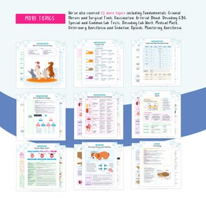 Peut inclure: Une infographie color&eacute;e avec le titre "Plus de sujets" et une liste de 22 sujets li&eacute;s &agrave; la m&eacute;decine v&eacute;t&eacute;rinaire. Les sujets comprennent les fondamentaux, les nerfs cr&acirc;niens, les outils chirurgicaux, la vaccination, le sang art&eacute;riel, le d&eacute;codage du CBC, les tests de laboratoire sp&eacute;ciaux et courants, le d&eacute;codage du travail de laboratoire, les math&eacute;matiques m&eacute;dicales, l'anesth&eacute;sie et la s&eacute;dation v&eacute;t&eacute;rinaires, les opio&iuml;des et la surveillance de l'anesth&eacute;sie.