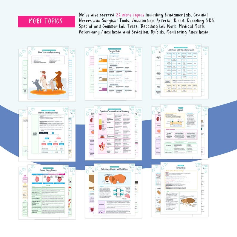 Peut inclure: Une infographie color&eacute;e avec le titre "Plus de sujets" et une liste de 22 sujets li&eacute;s &agrave; la m&eacute;decine v&eacute;t&eacute;rinaire. Les sujets comprennent les fondamentaux, les nerfs cr&acirc;niens, les outils chirurgicaux, la vaccination, le sang art&eacute;riel, le d&eacute;codage du CBC, les tests de laboratoire sp&eacute;ciaux et courants, le d&eacute;codage du travail de laboratoire, les math&eacute;matiques m&eacute;dicales, l'anesth&eacute;sie et la s&eacute;dation v&eacute;t&eacute;rinaires, les opio&iuml;des et la surveillance de l'anesth&eacute;sie.