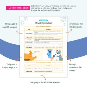 Peut inclure: Une infographie color&eacute;e intitul&eacute;e "ECG Interpretation" avec des illustrations d'un chien et d'un chat. L'infographie explique comment v&eacute;rifier le rythme cardiaque et le pouls d'un animal de compagnie. Elle couvre &eacute;galement les arythmies, leur signification clinique et les d&eacute;s&eacute;quilibres &eacute;lectrolytiques.