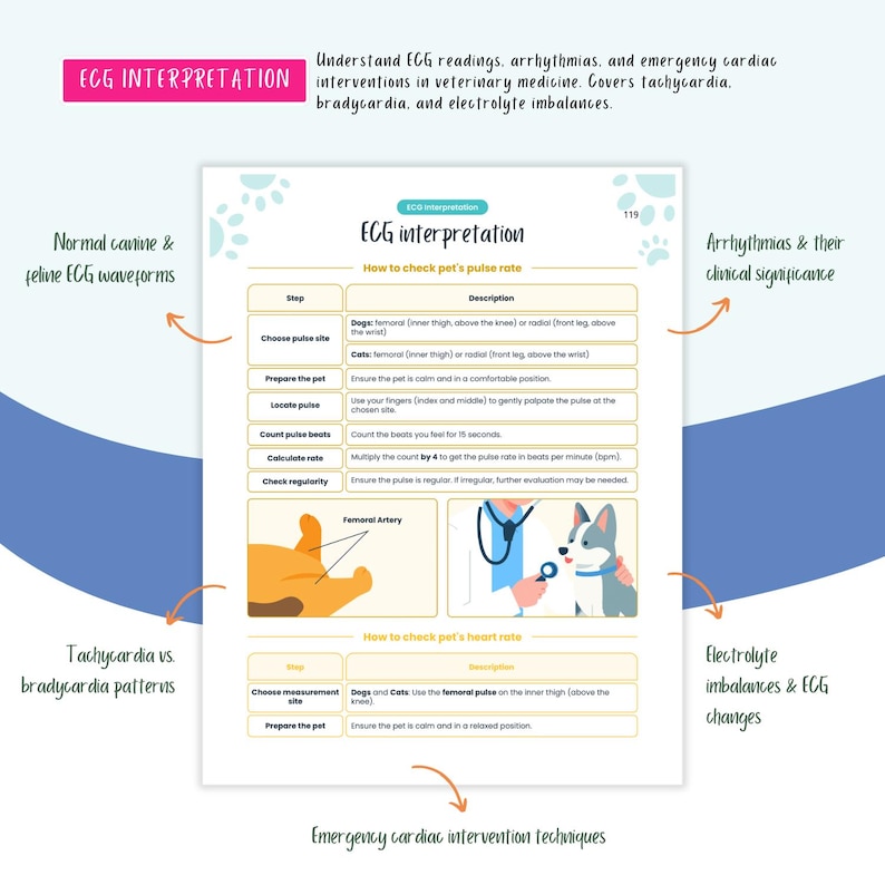 Peut inclure: Une infographie color&eacute;e intitul&eacute;e "ECG Interpretation" avec des illustrations d'un chien et d'un chat. L'infographie explique comment v&eacute;rifier le rythme cardiaque et le pouls d'un animal de compagnie. Elle couvre &eacute;galement les arythmies, leur signification clinique et les d&eacute;s&eacute;quilibres &eacute;lectrolytiques.